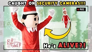 Elf on the Shelf Caught MOVING on Security Camera in Real Life Size! | Elf on the Shelf Alive!