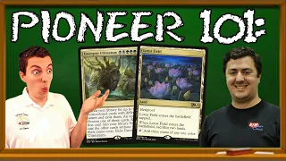 (Pioneer) - 🔵🟢 - Lotus Field Combo With Connor Mullaly! - 🌺🌺🌺