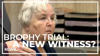 Judge to decide if jailhouse informant can testify in Nancy Brophy trial
