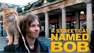 A STREET CAT NAMED BOB (2016) Trailer #1 - Luke Treadaway  & BOB