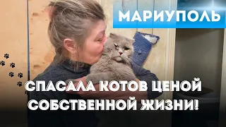 НАТАЛЬЯ ИЗ МАРИУПОЛЯ И ЕЕ 60 КОТОВ!