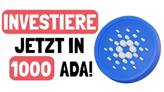 Warum du 1000 Cardano-Token (ADA) besitzen solltest - Der ZinsesZins