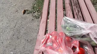 Канонада слышна за городом.  Харьков сегодня 1сентября С днём  знаний.