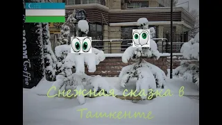 В Ташкенте опять снег! Снежная сказка в 2023 году.