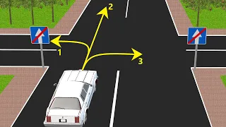 В каком направлении разрешено продолжить движение для белого авто?