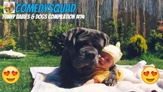 Funny Dogs and Babies Playing Together-Funny Babies & Dogs Compilation #14
