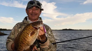 Why You Should Fish in Windy Conditions