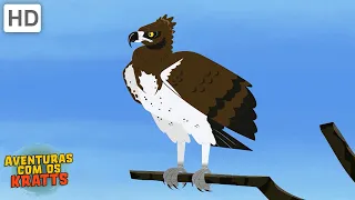 Criaturas do céu | Pássaros, morcegos + mais! [episódios completos] Aventuras com os Kratts