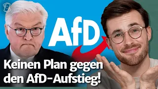Darum trägt Steinmeier Mitschuld am AfD-Aufstieg | Reaktion auf ZDF-Sommerinterview