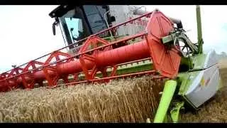 Żniwa 2014 steblewo claas lexion 770 haasefarm