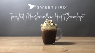 How to Make a Sweetbird Toasted Marshmallow Hot Chocolate