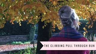 The Climbing Pull Through Bun by SweetHearts Hair