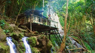 Full Video: 30 days alone building a bushcraft house under a waterfall in the deep forest.