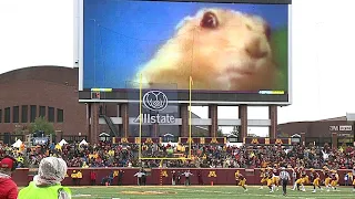 Dramatic Gopher at Gopher Football