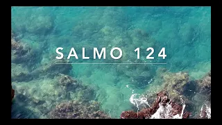 Salmo 124 | Alabanza por ser librado de lo enemigos | Salmos