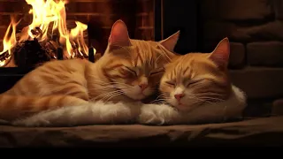 Peaceful night with Fireplace and Gentle Purr | Cozy Purring Cats