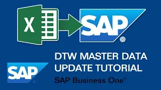 DTW (Data Transfer Workbench) Master Data Update Tutorial - SAP Business One