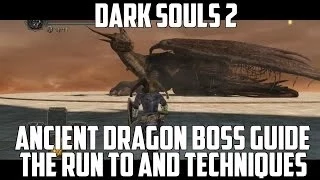 Ancient Dragon Boss Guide - How To Do The Run and Techniques To Get A Consistent Fight