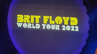 Comfortably Numb - Pink Floyd | Brit Floyd Performance Live in Madison 2022