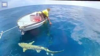 Video: Fisherman's boat surrounded by sharks on the Great Barrier Reef