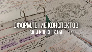 Как я веду конспекты || Оформление конспектов || Мои конспекты