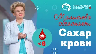 Малышева объясняет: главное, что нужно знать про сахар крови