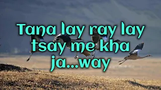 Tana lay ray lay tshey[Vocal off]||Namgay jiggs||Dechen Pem||Bhutanese song||Bhutanese music||