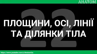 22.   Площини, осі, лінії та ділянки тіла - AnatomUa_AUDIO