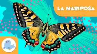 La mariposa 🦋 Animales para niños 🌱 Episodio 11