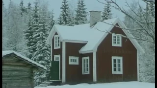 The Old Man in the Cottage 1996 Sweden (documentary)