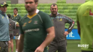 Wallabies ready to rock AAMI Park