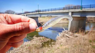 Bridge Fishing A REALISTIC SWIMBAIT For RARE FISH!!! (New Favorite Species?)