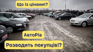 Авторіа розводить покупців⁉️ Автобазар Carbazar‼️Що із цінами⁉️Зимові ціни на авто‼️