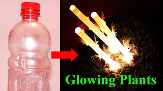 DIY Artificial Plant That Glows