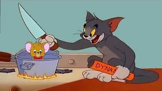 TOM and JERRY Surf Bored Cats