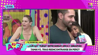 Amor y Fuego - MAY 19 - ¿AÚN HAY "FUEGO" ENTRE SHIRLEY ARICA Y SEBASTIÁN TAMAYO? | Willax