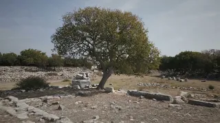 Köklü İzler, Güçlü Hikayeler