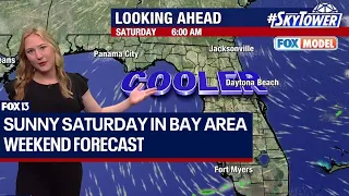 Tampa weather: Sunny, pleasant Saturday