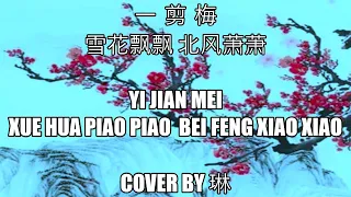 Yi Jian Mei 一剪梅 Xue Hua Piao Piao Bei Feng Xiao Xiao 雪花飘飘北风萧萧 Cover by 琳