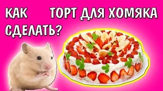 КАК СДЕЛАТЬ ТОРТ ДЛЯ ХОМЯКА | +ПРИВЕТЫ | САЛАТ ДЛЯ ХОМЯЧКА | ХОМКИ | ХОМЯЧОК