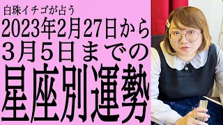 ★忖度なし★2023年2月27日〜3月5日の星座別の運勢★運気を上げるアドバイスつき★