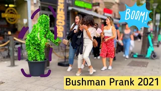 Best Of Bushman Prank 2021 Reactions