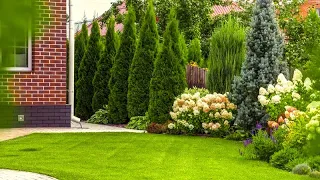 Отличные идеи для декора и благоустройства сада / Ideas for decorating and arrangement of the garden