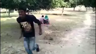 Индийские парни устроили переполох. Самое смешное видео.