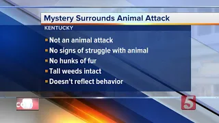 Mystery Surrounding Kentucky Animal Killings Continues