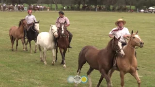 Jineteada 57° FIESTA PROVINCIAL DE LAS LLANURAS