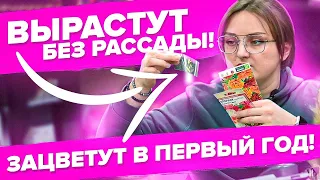 БЕЗ РАССАДЫ! ЦВЕТЕНИЕ В ПЕРВЫЙ ГОД. ТОП ЦВЕТОВ ДЛЯ 2022 ГОДА