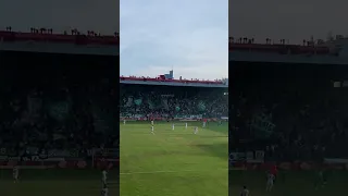 Rapid hat gestern 7:0 gegen Donaufeld gewonnen