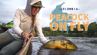 Peacock fly fishing in the Colombian jungle