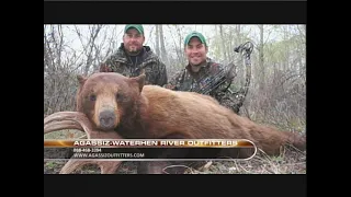 Manitoba Spring Black Bear Hunt with Agassiz Outfitters 2010